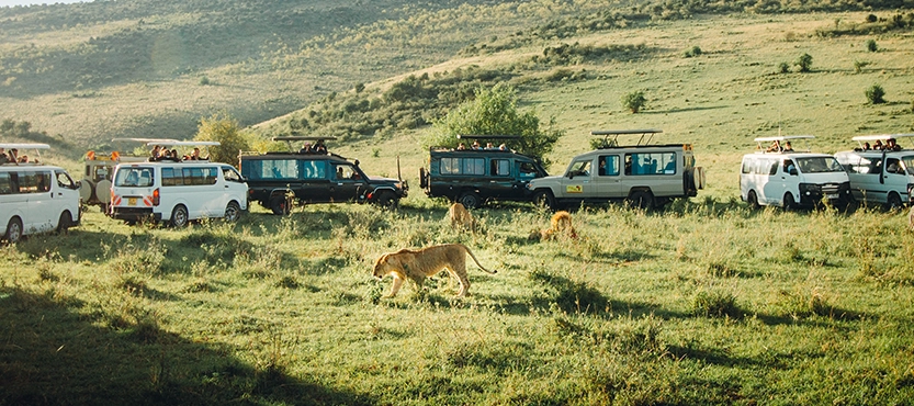 Full Day in Masai Mara