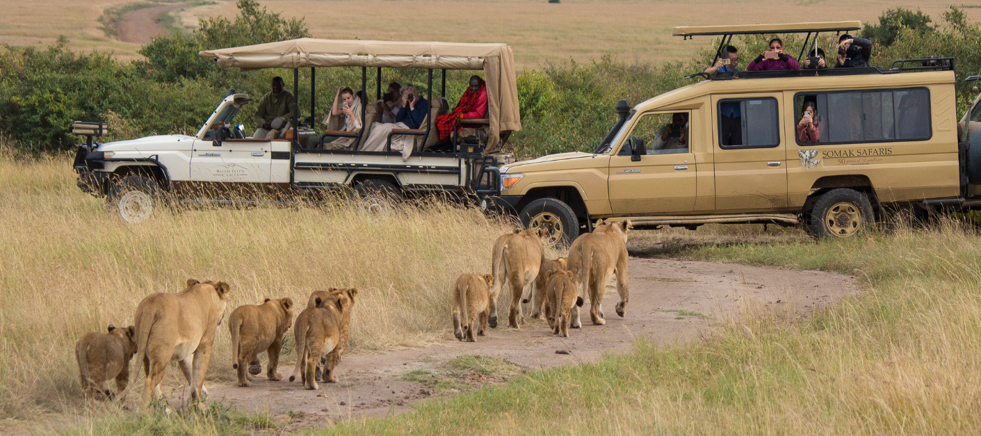 Explore Masai Mara