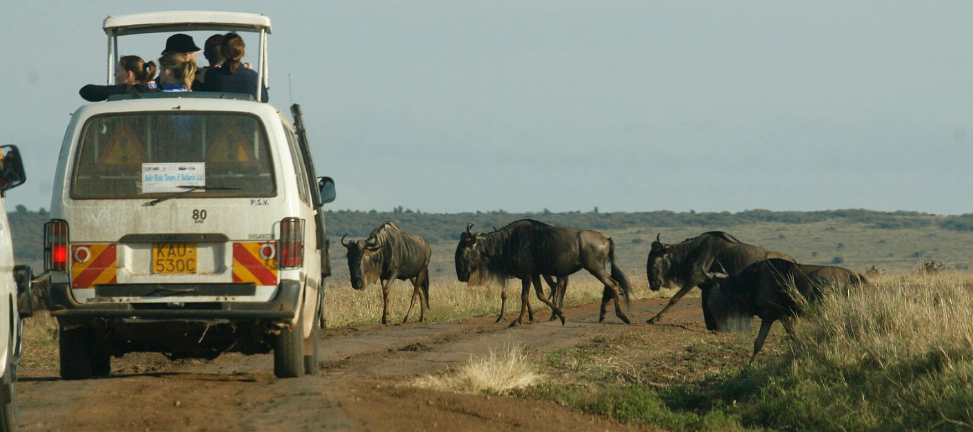 Nakuru to Masai Mara