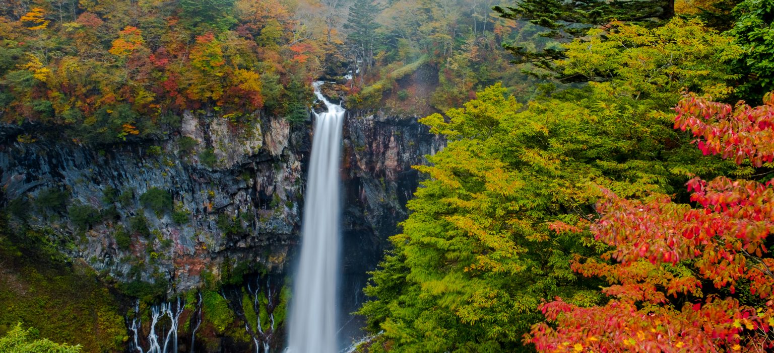 NOV 8: ARRIVAL IN JAPAN & TRAVEL TO NIKKO | CHUZENJI LAKE & KEGON FALLS