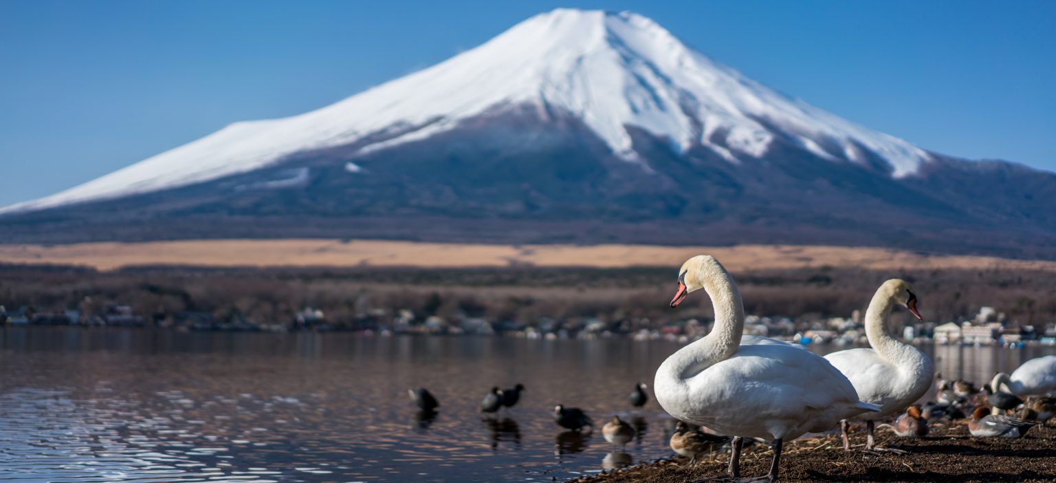 NOV 11: TOKYO TO MISHIMA | MT. FUJI & LAKESIDE BEAUTY