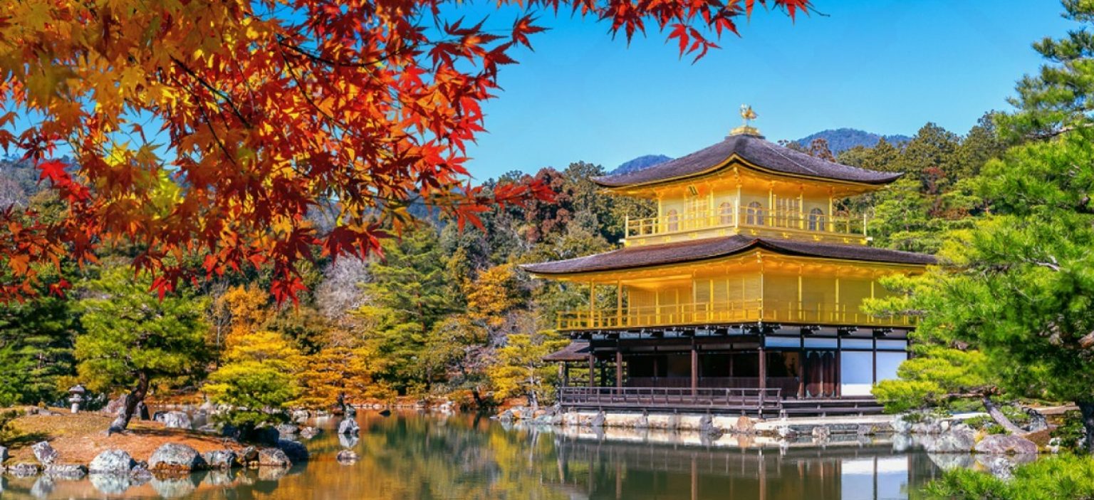 NOV 14: NAGOYA TO KYOTO TO OSAKA | TEMPLES & NATURE