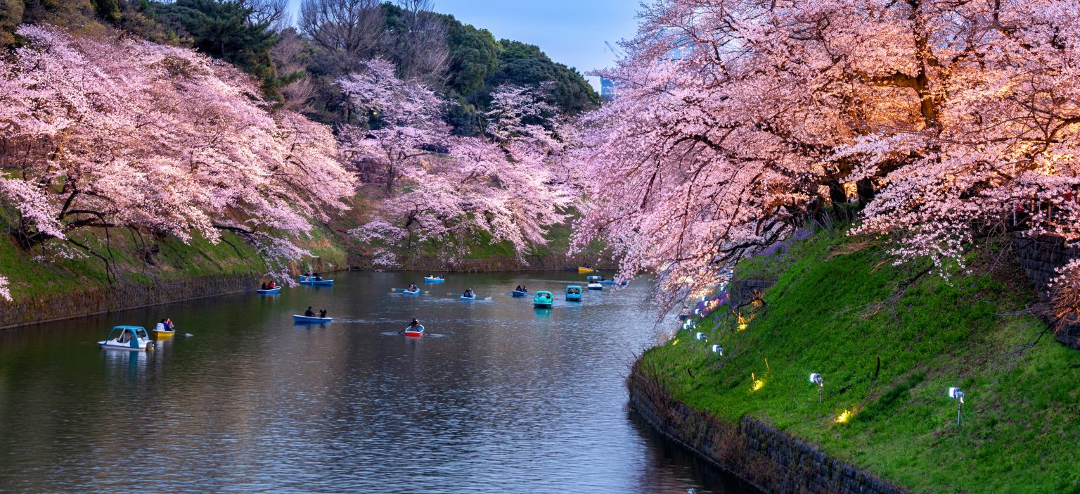 TOKYО & EVENING EXPLORATION