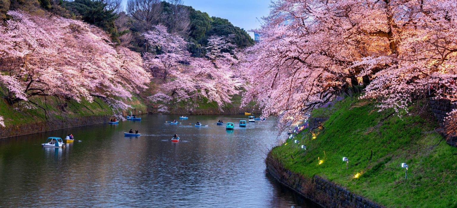 TOKYО & EVENING EXPLORATION