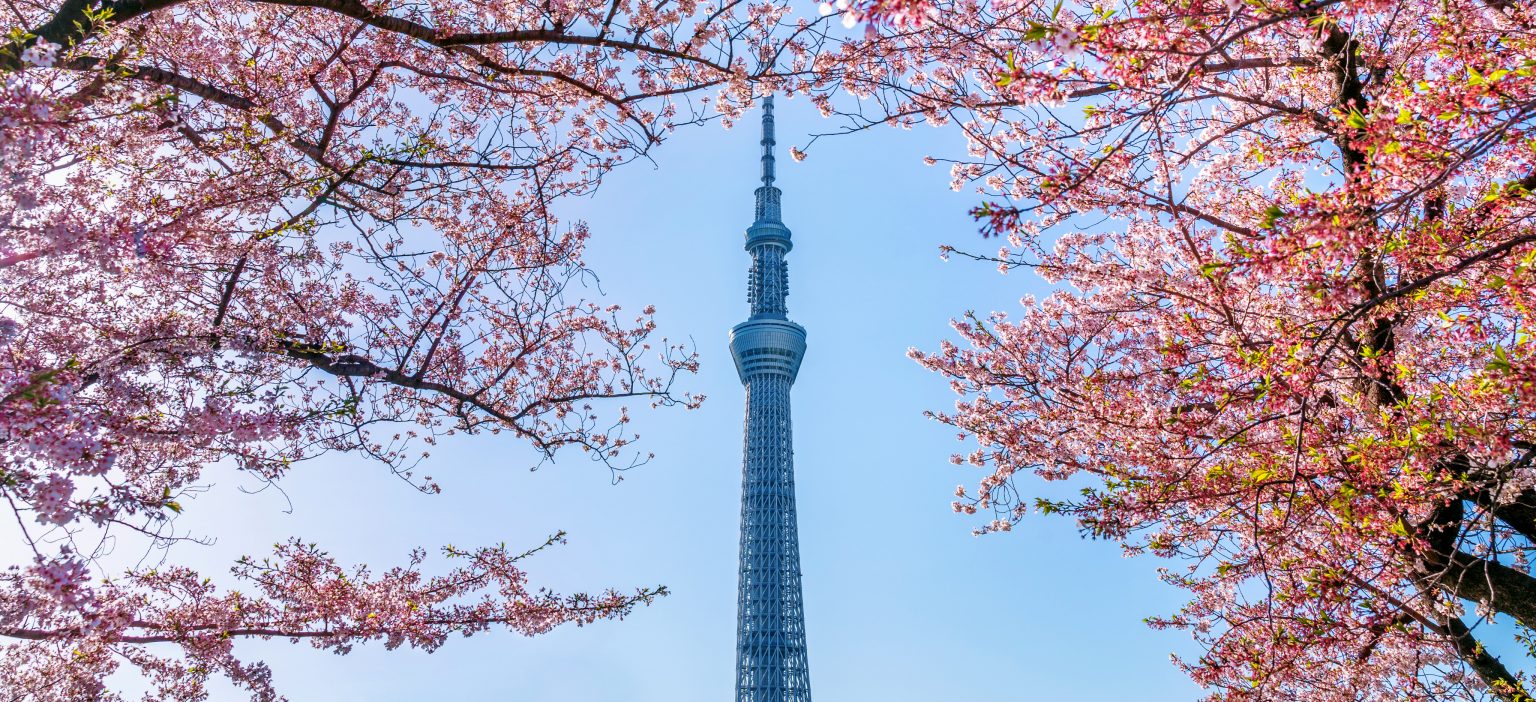 TOKYO ICONS & VIBRANT NEIGHBORHOODS