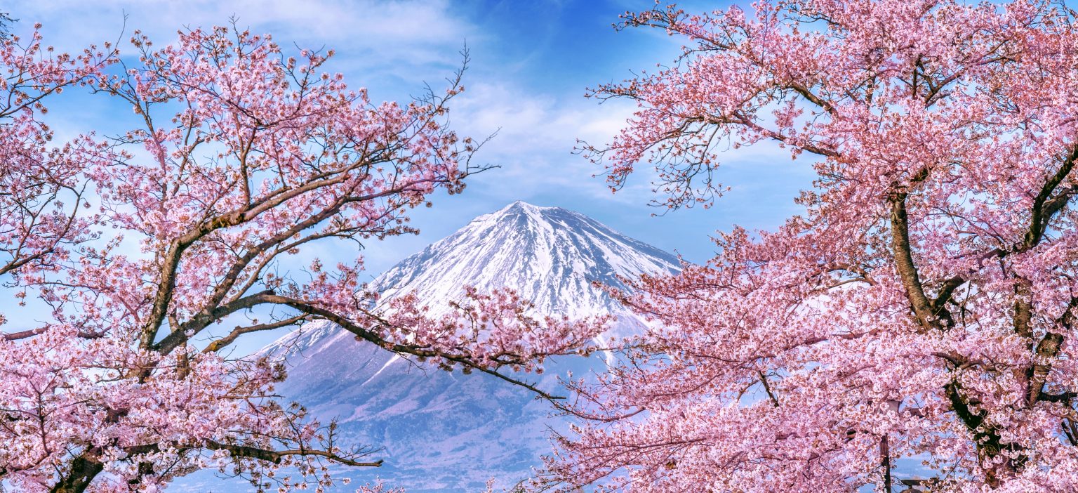 MT. FUJI & HAKONE ADVENTURE