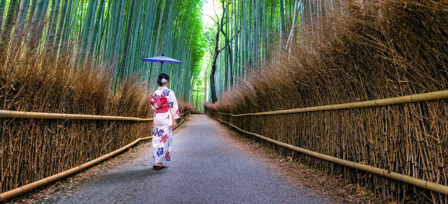 KYOTO EXCURSION - TEMPLES & TRADITION
