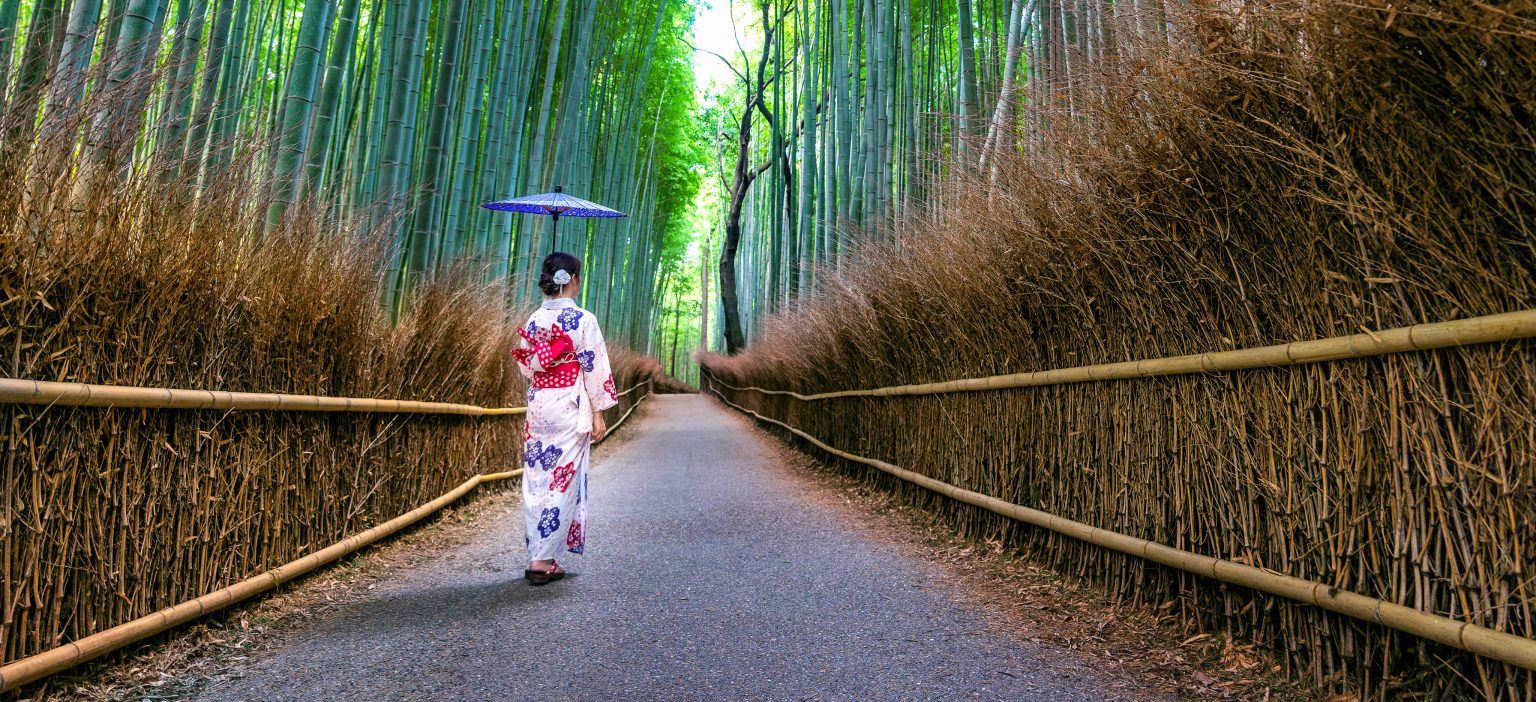 KYOTO EXCURSION - TEMPLES & TRANQUILLITY