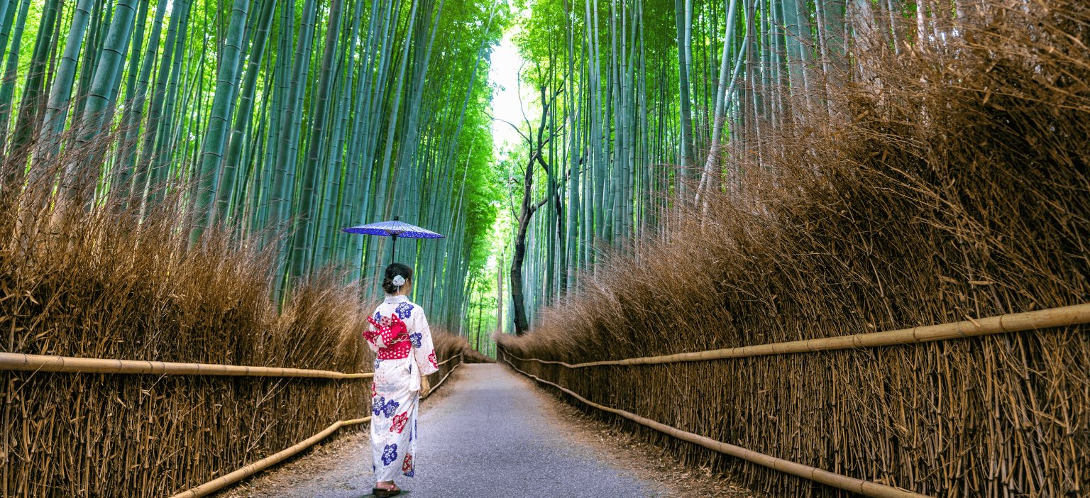 KYOTO SOUL | GOLDEN TEMPLES &  BAMBOO DREAMS