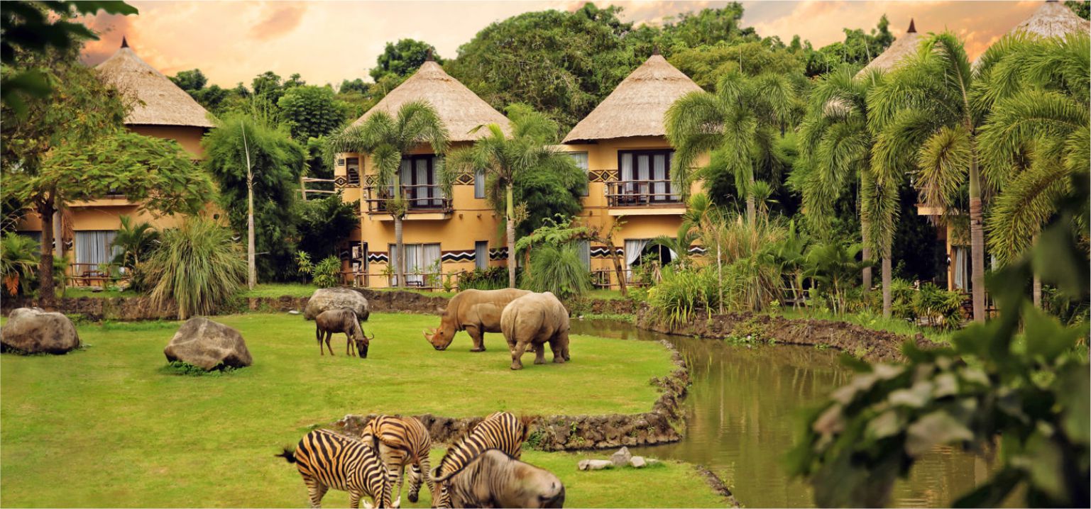 TRANSFER TO KUTA - BALI SAFARI PARK (JUNGLE HOPPER PASS)