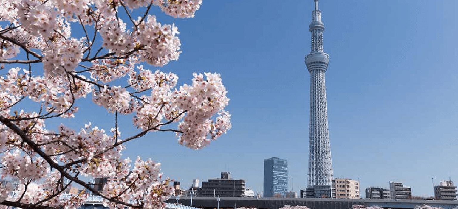 Explore Tokyo - Skytree, Asakusa, Shibuya & Akihabara