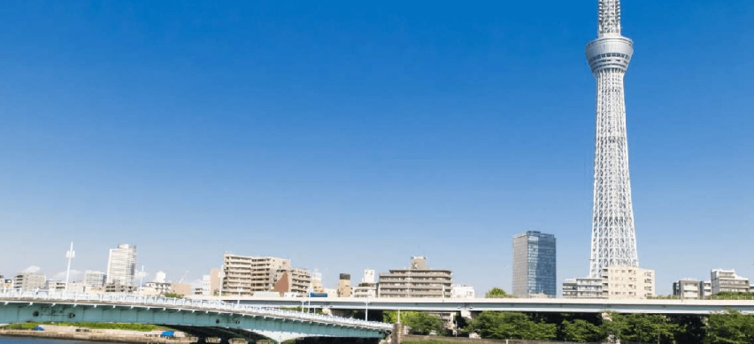 TOKYO CITY TOUR - TRADITION & MODERN VIBES