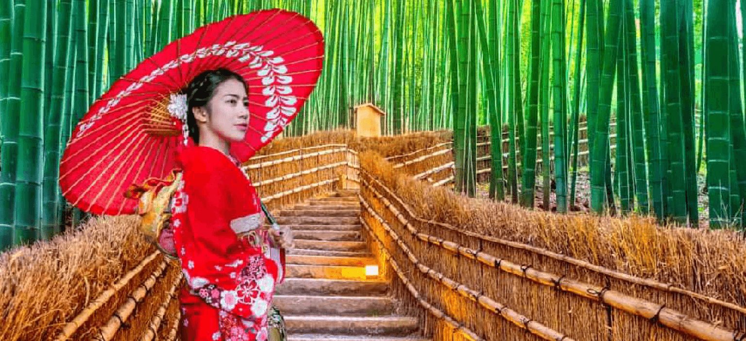 KYOTO DAY TRIP – TEMPLES & TRADITIONS