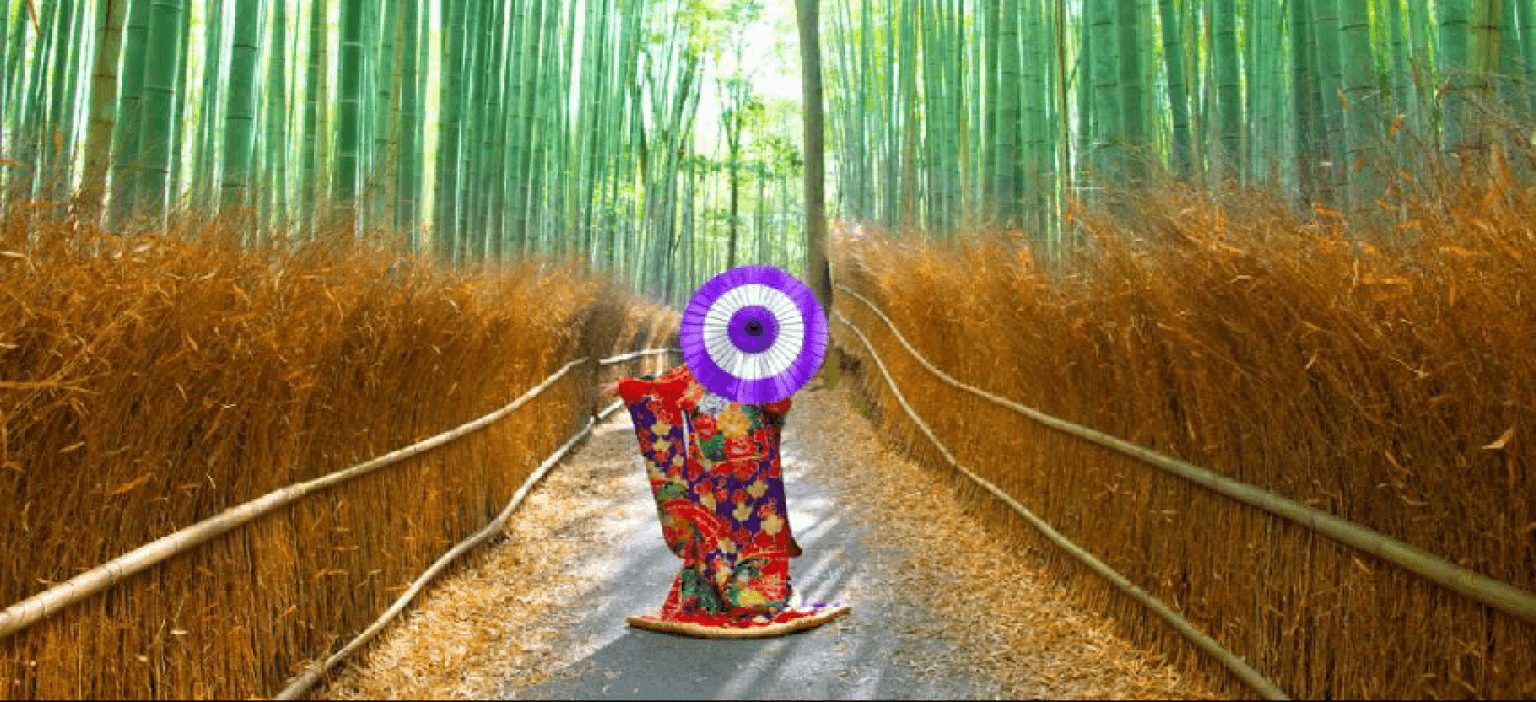 KYOTO DAY TRIP – TEMPLES & TRADITIONS