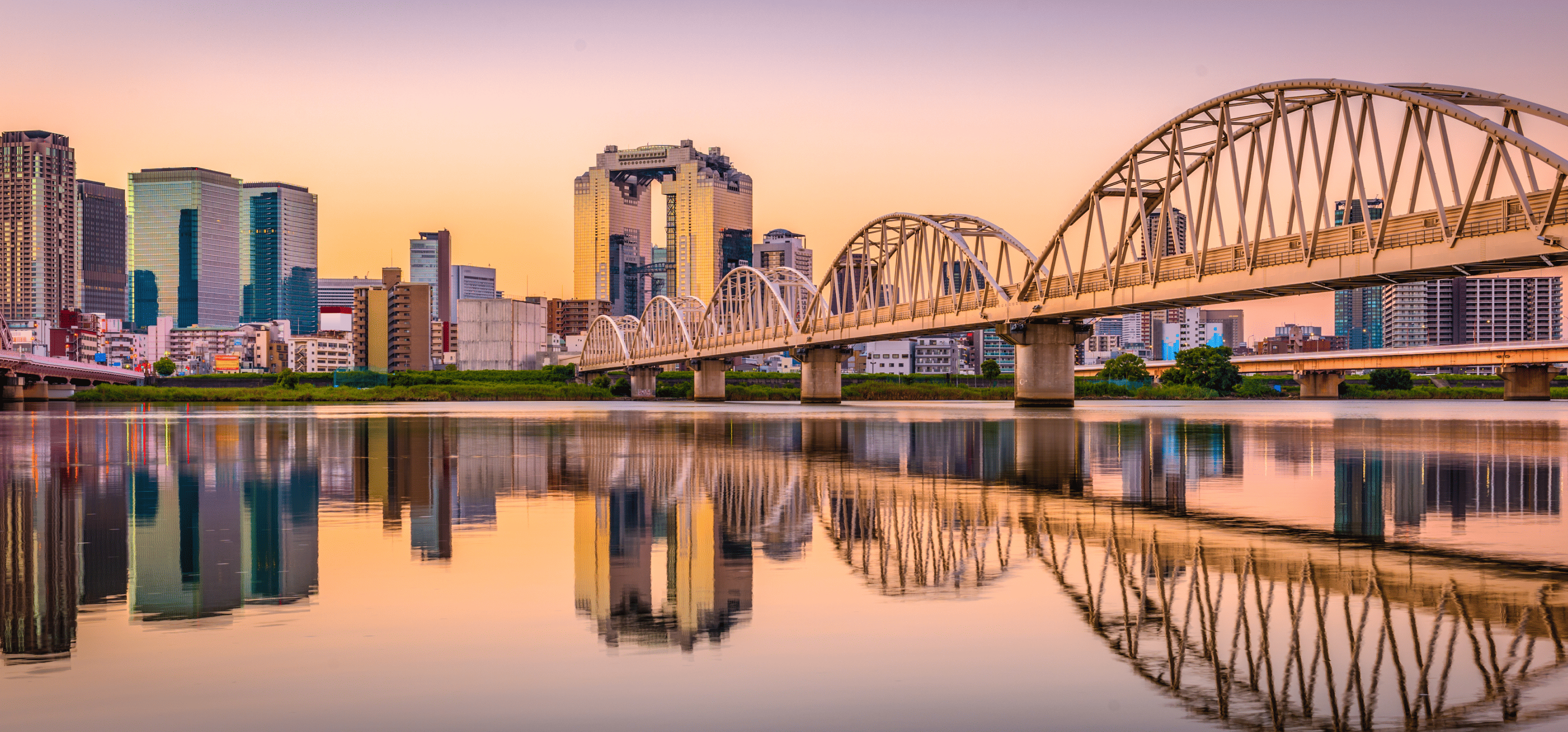 The Chrysanthemum Trail