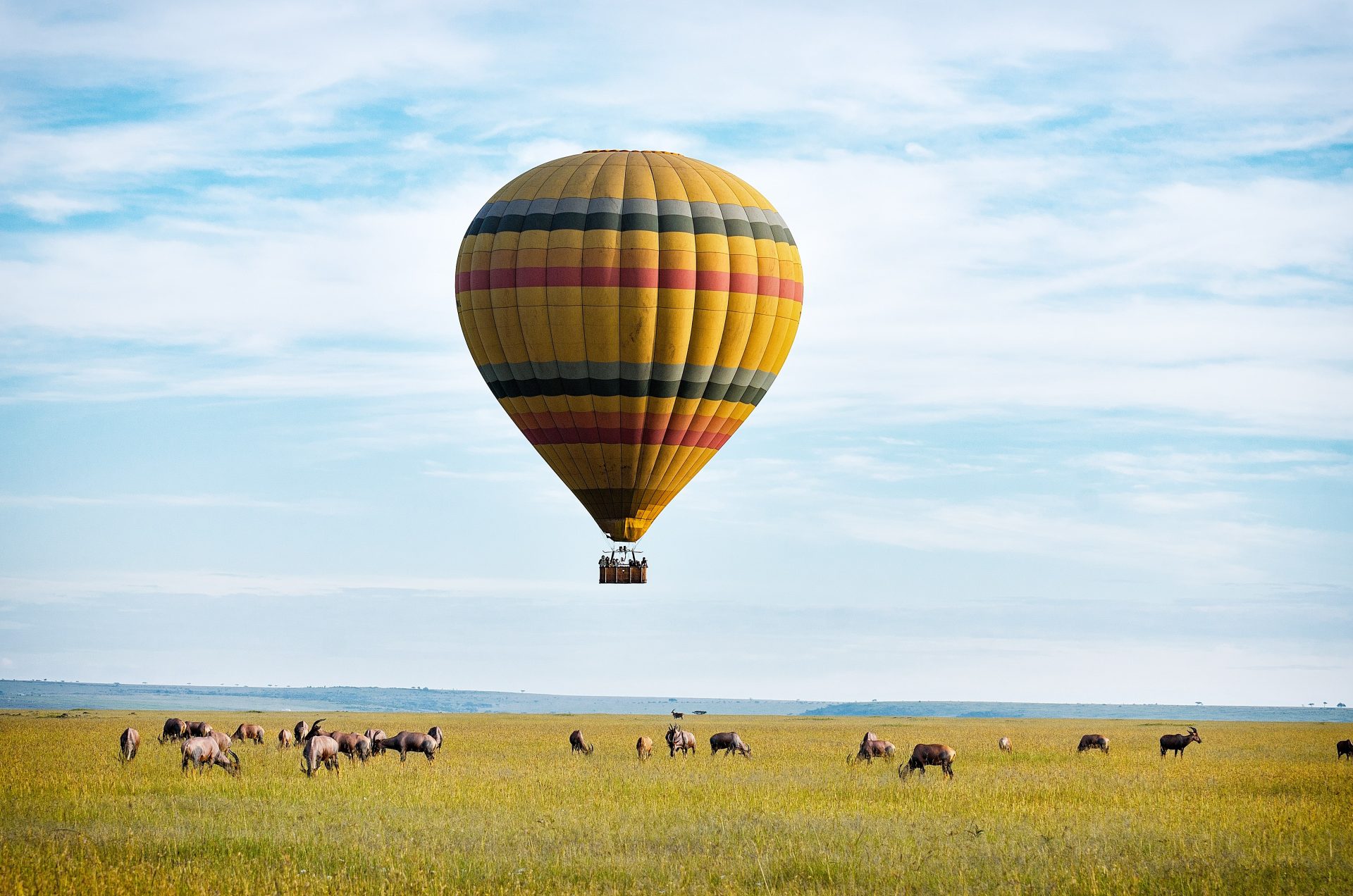 MASAI MARA – GAME VIEWING EXPERIENCE