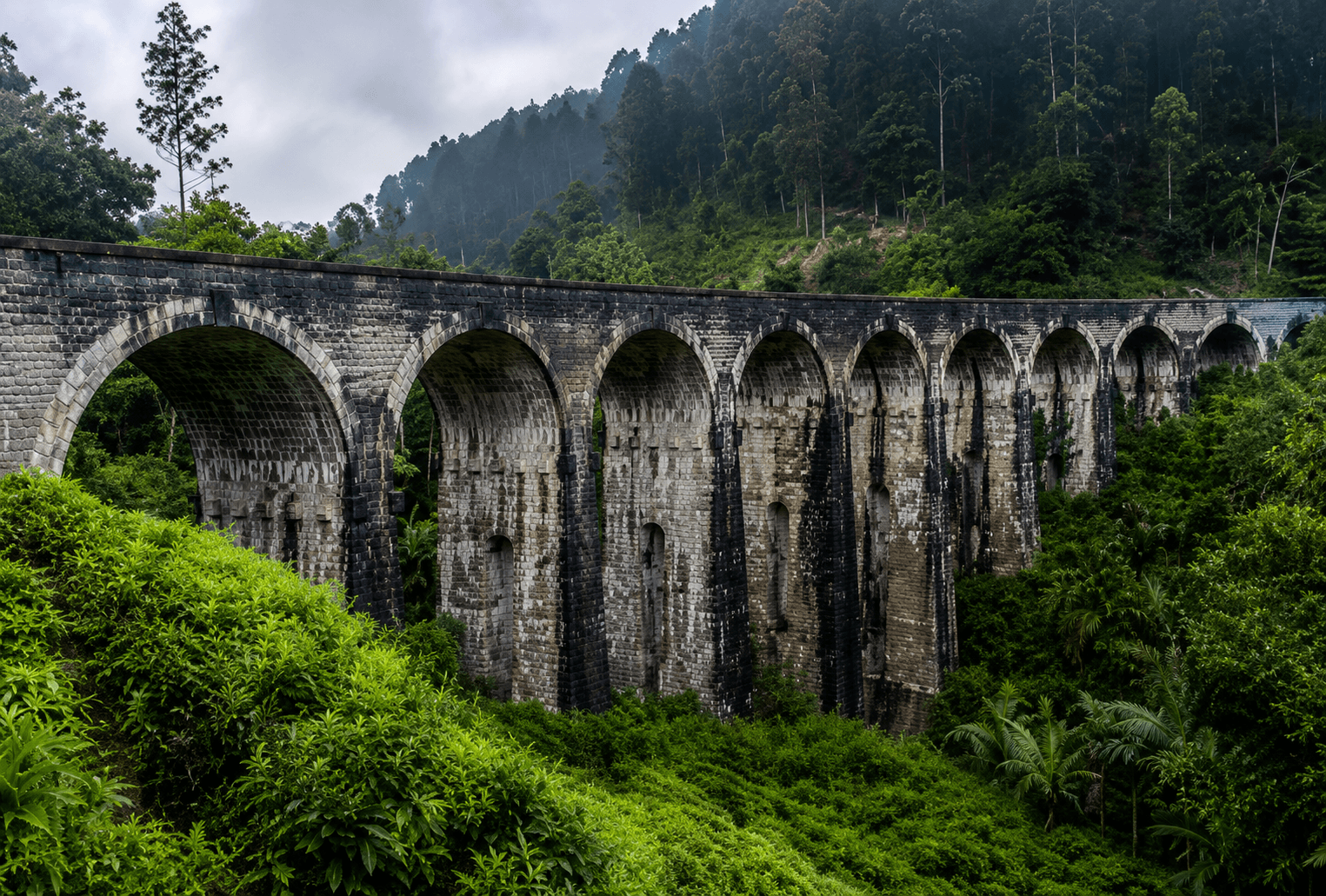 NUWARA ELIYA