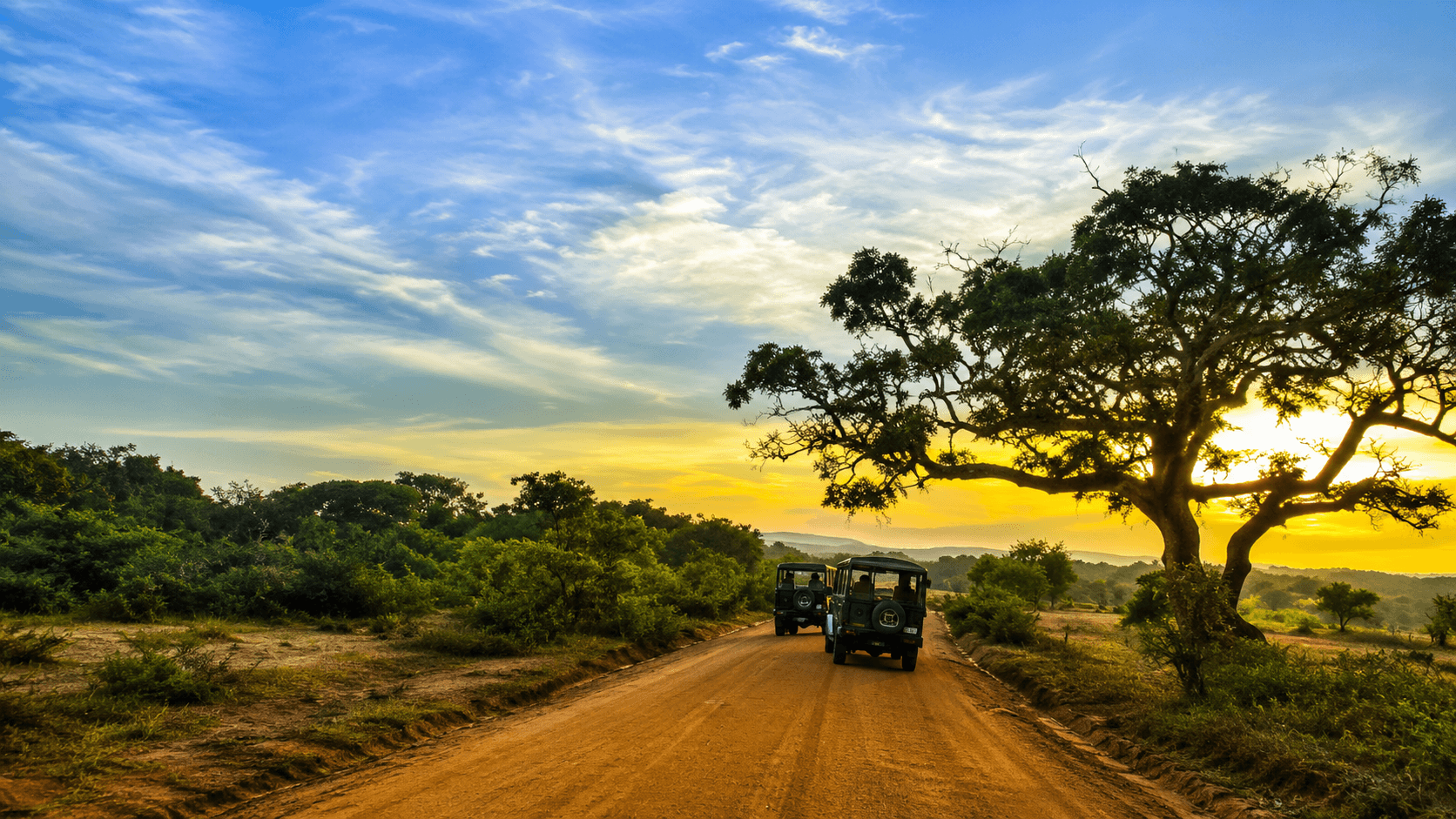 YALA SAFARI – BENTOTA
