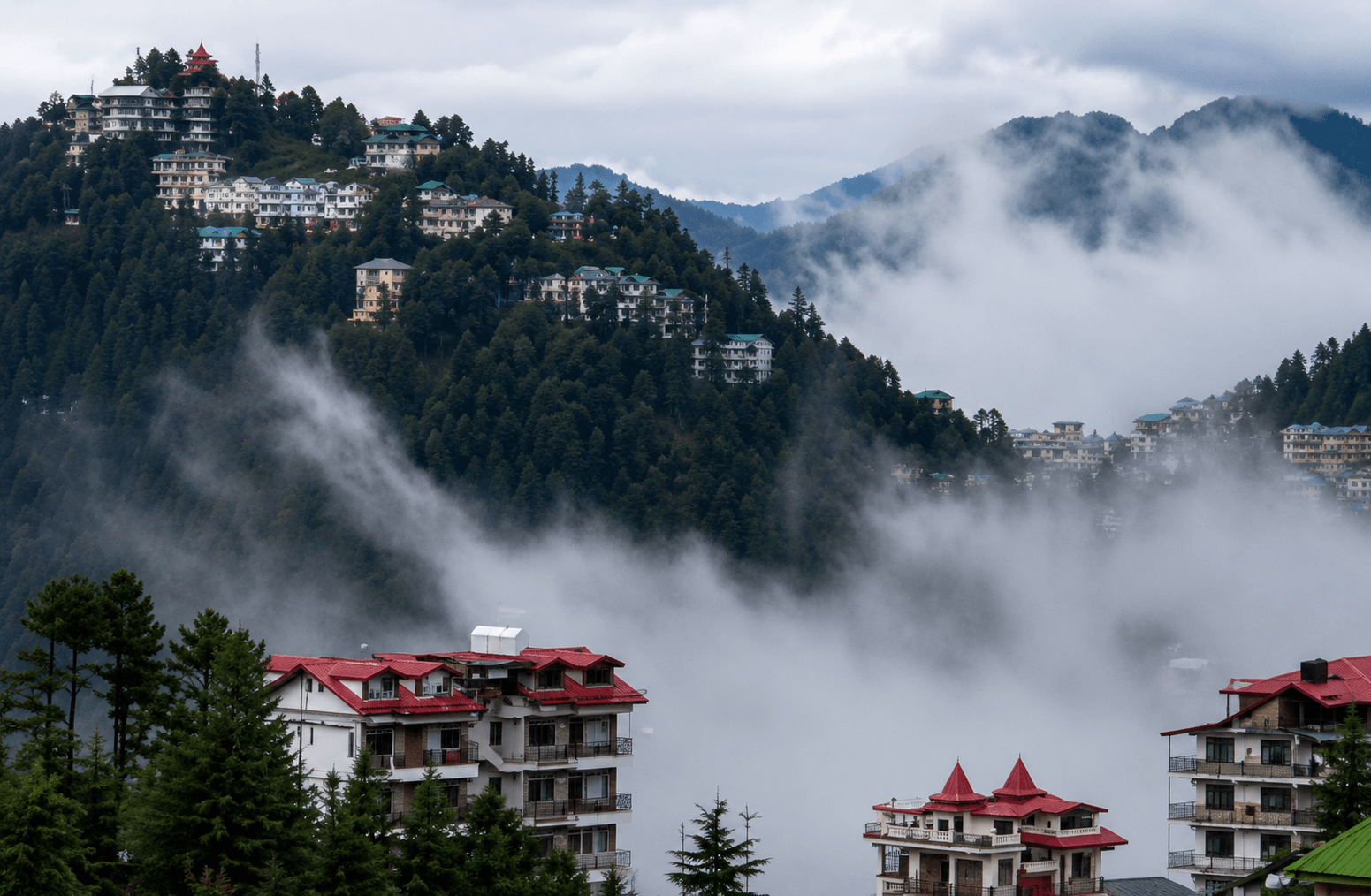 SHIMLA – KUFRI EXCURSION WITH LOCAL SIGHTSEEING (16KM/50M)