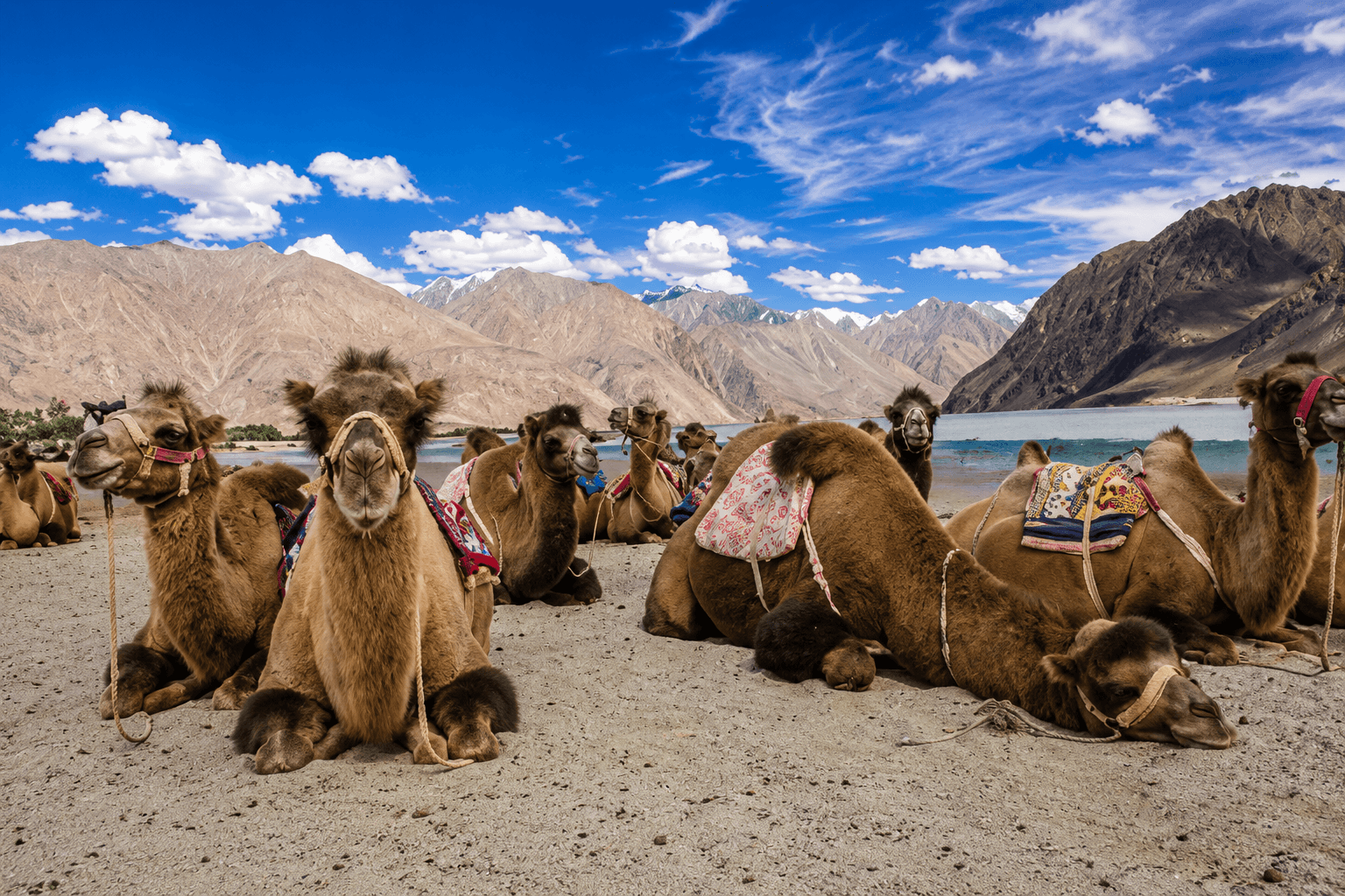 LEH TO NUBRA VALLEY