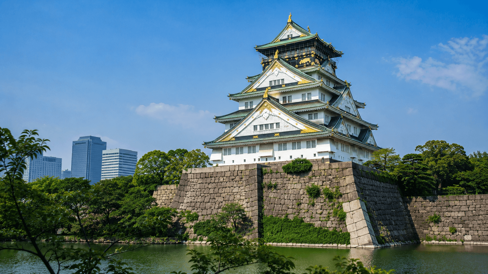 Tokyo Panoramic SIC Tour
