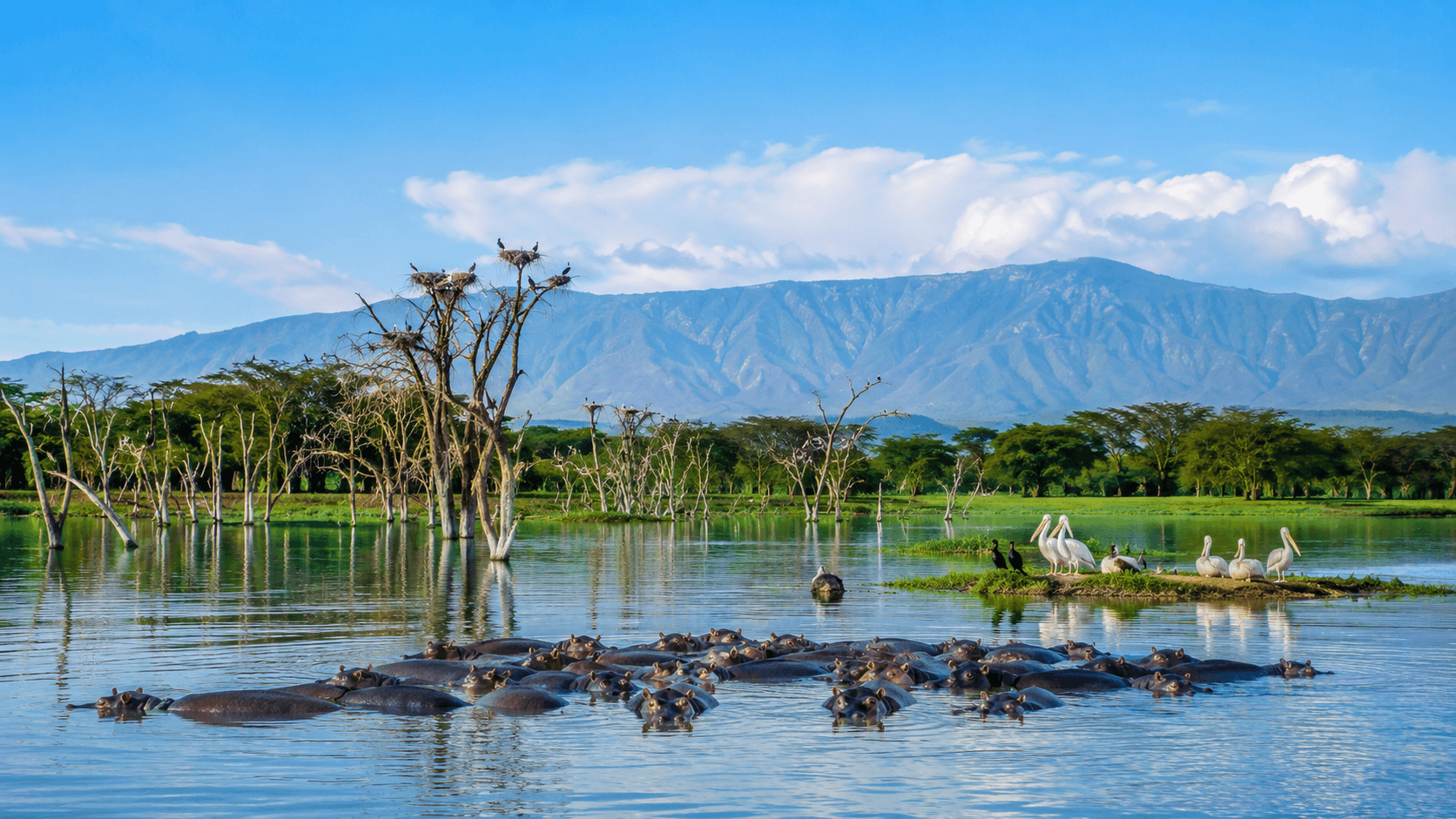 Nairobi – Lake Naivasha – Elementaita