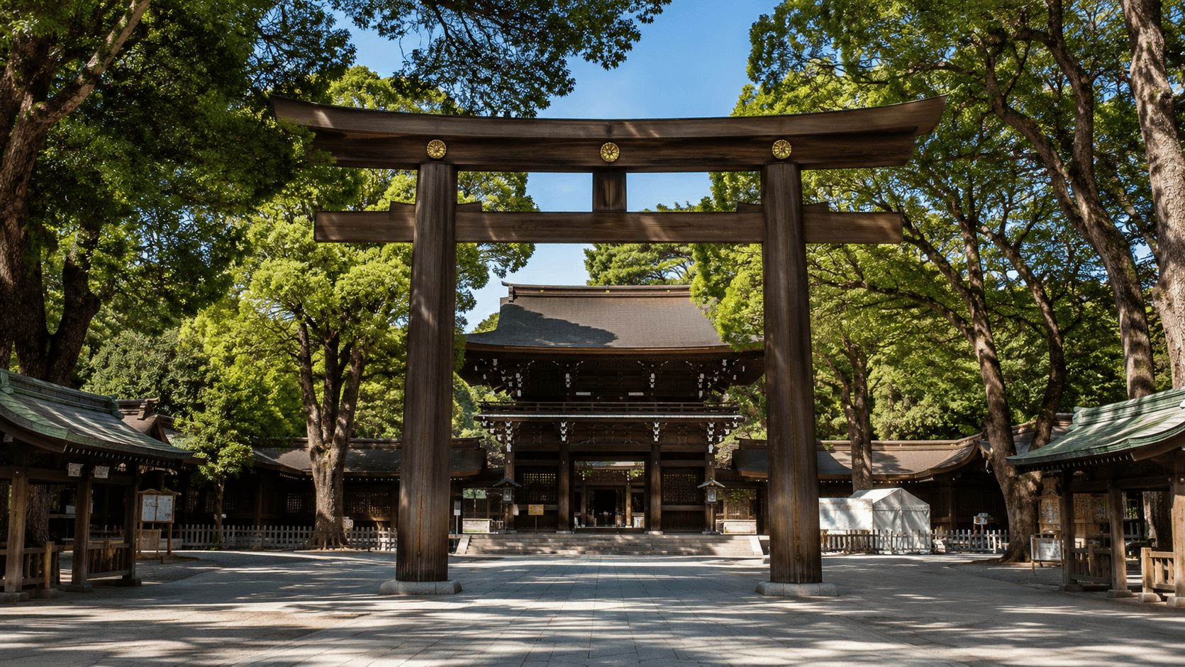 Tokyo Panoramic SIC Tour