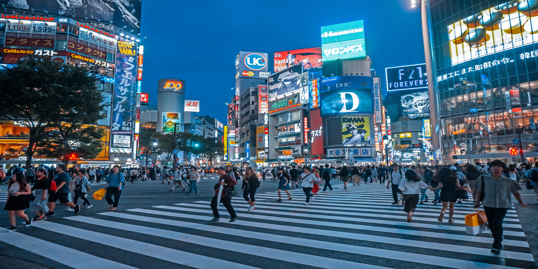 Tokyo Panoramic SIC Tour