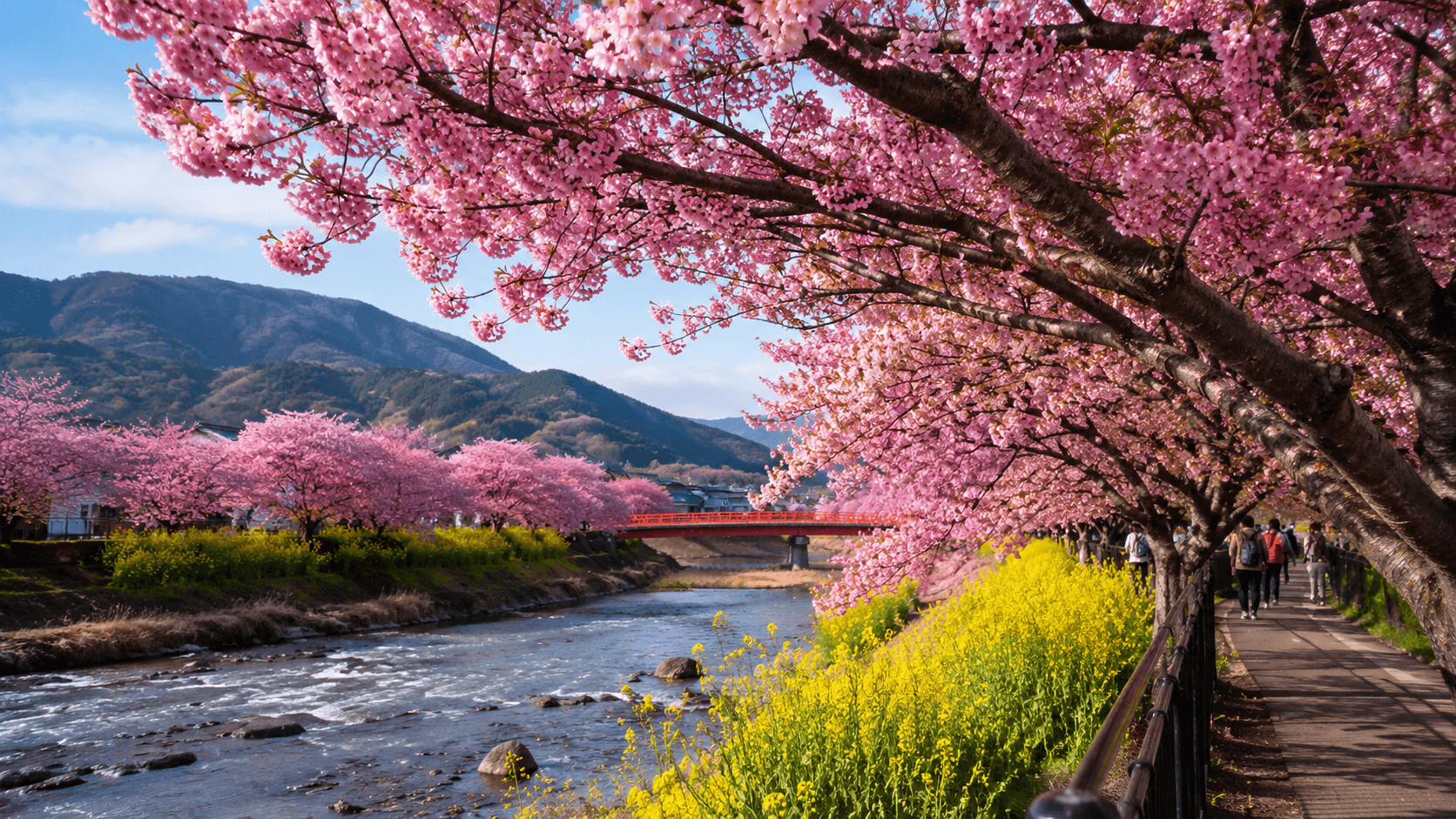 TOKYO → SHIZUOKA → KAWAZU → CHERRY BLOSSOM VIEWING → HAKONE