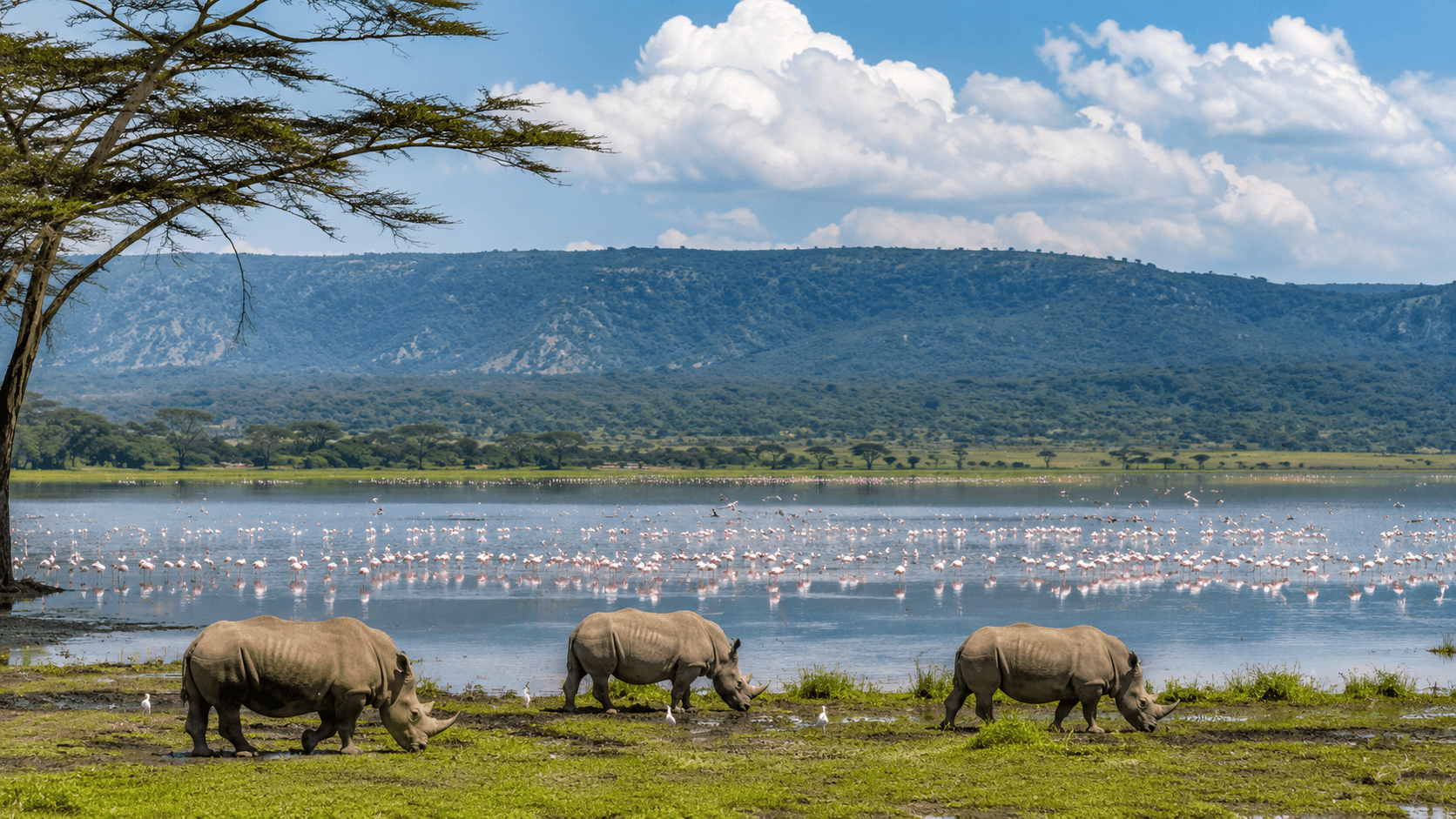Elementaita – Lake Nakuru National Park – Elementaita