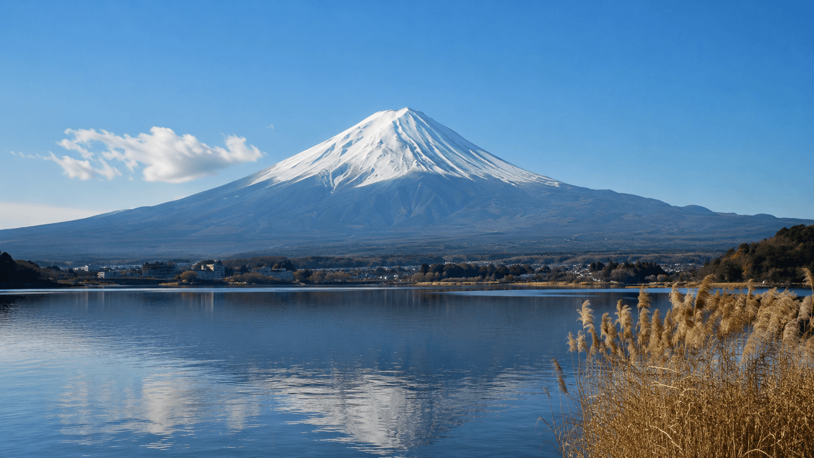 MT. FUJI & HAKONE ADVENTURE