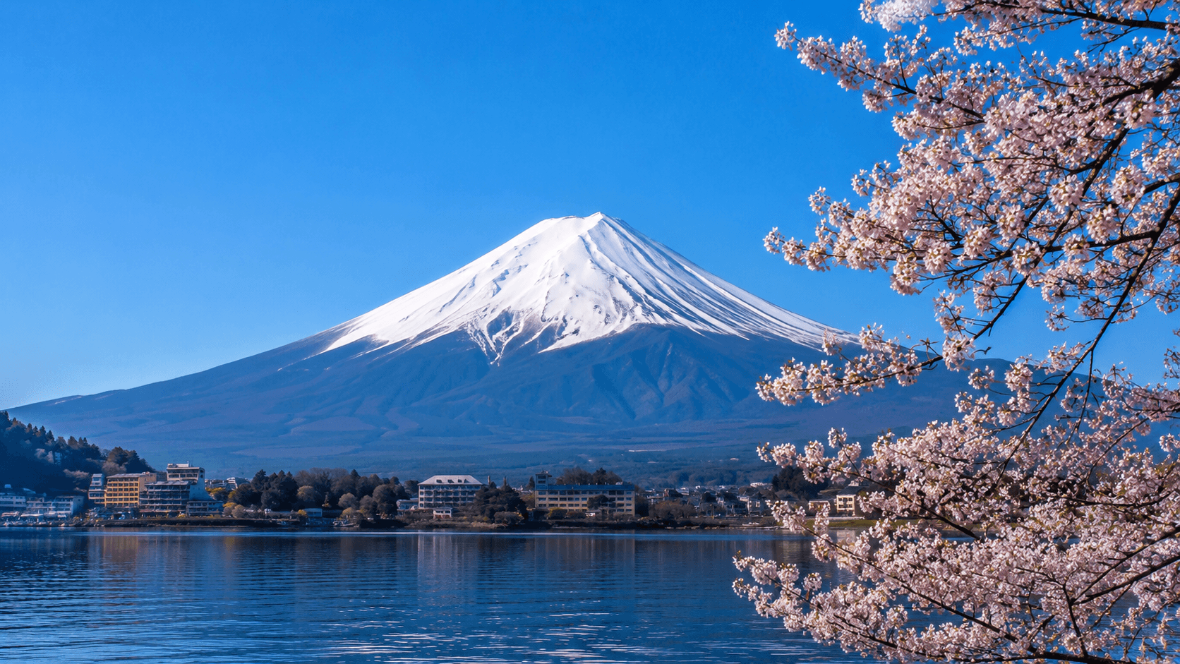 Day Trip to Mt. Fuji – Private Tour | Stay in Mishima
