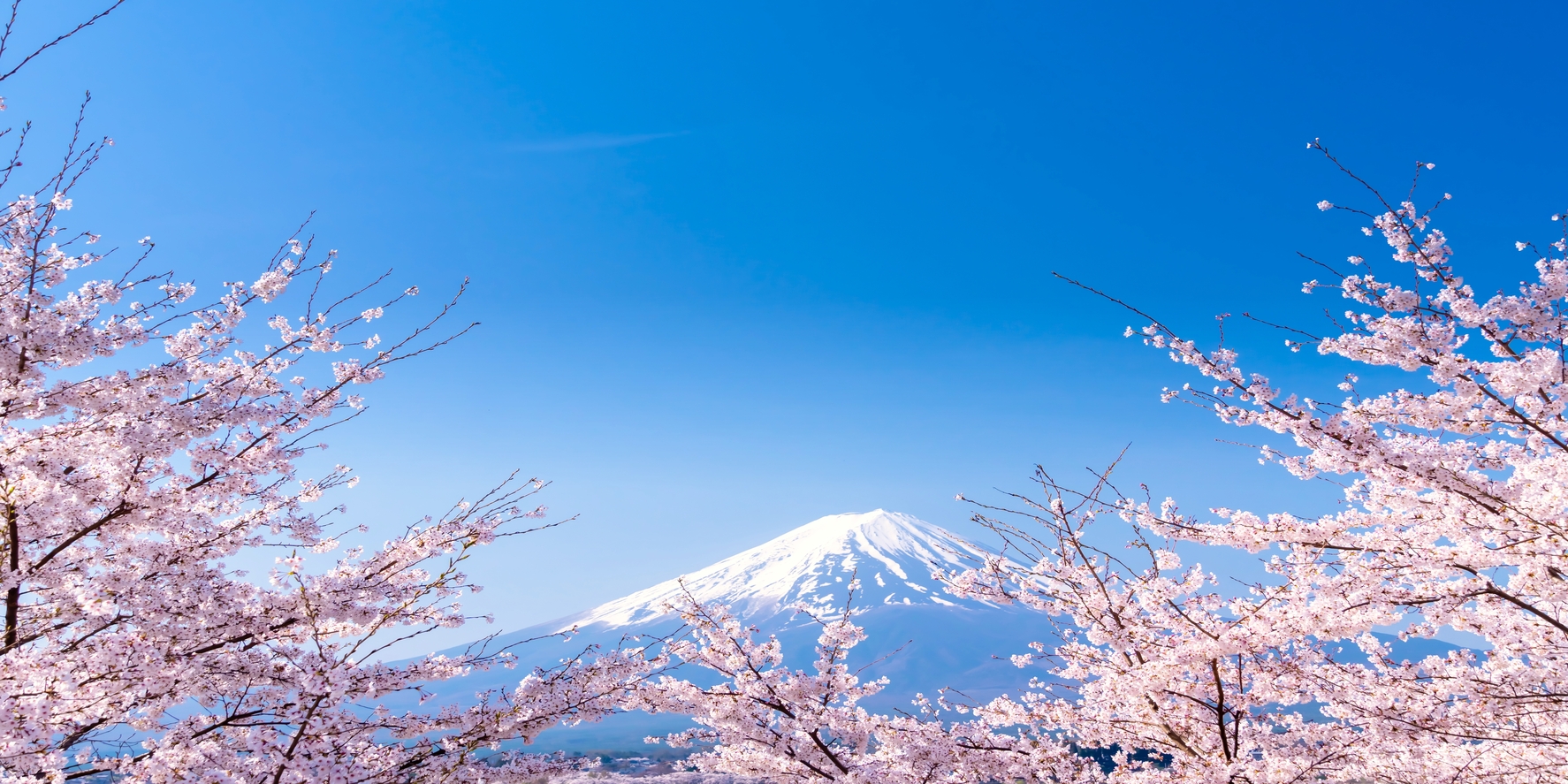 TOKYO – HAKONE – NUMAZU