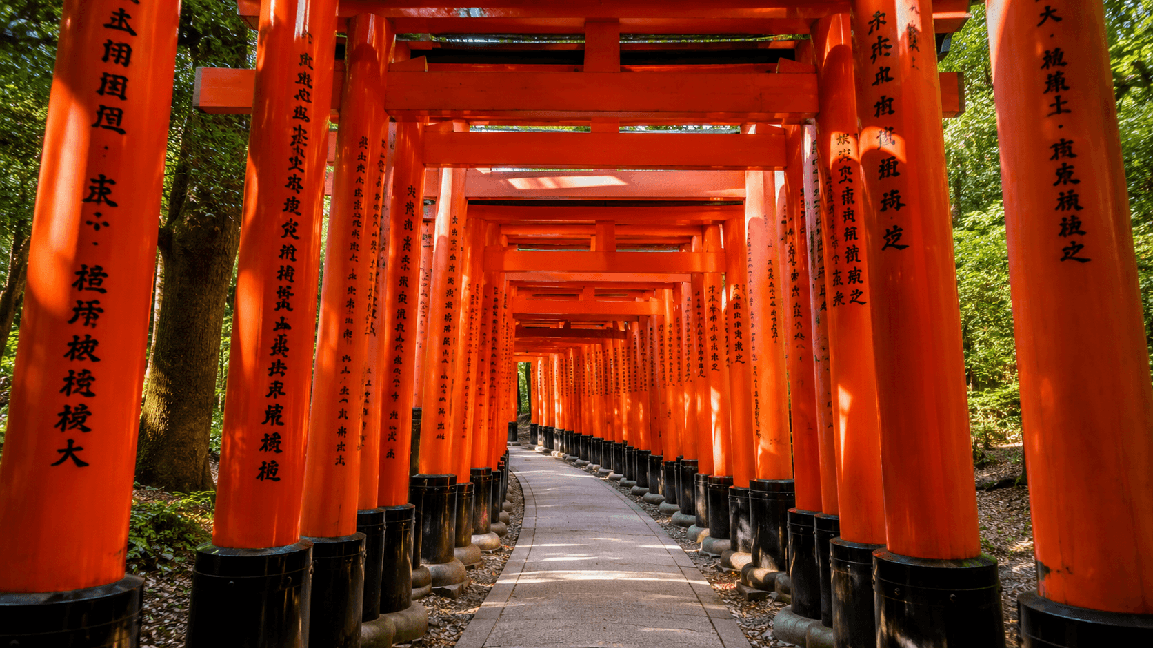 Kyoto & Nara SIC Tour