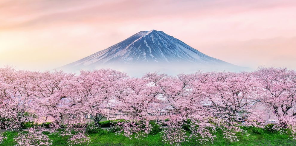 ARRIVAL IN TOKYO