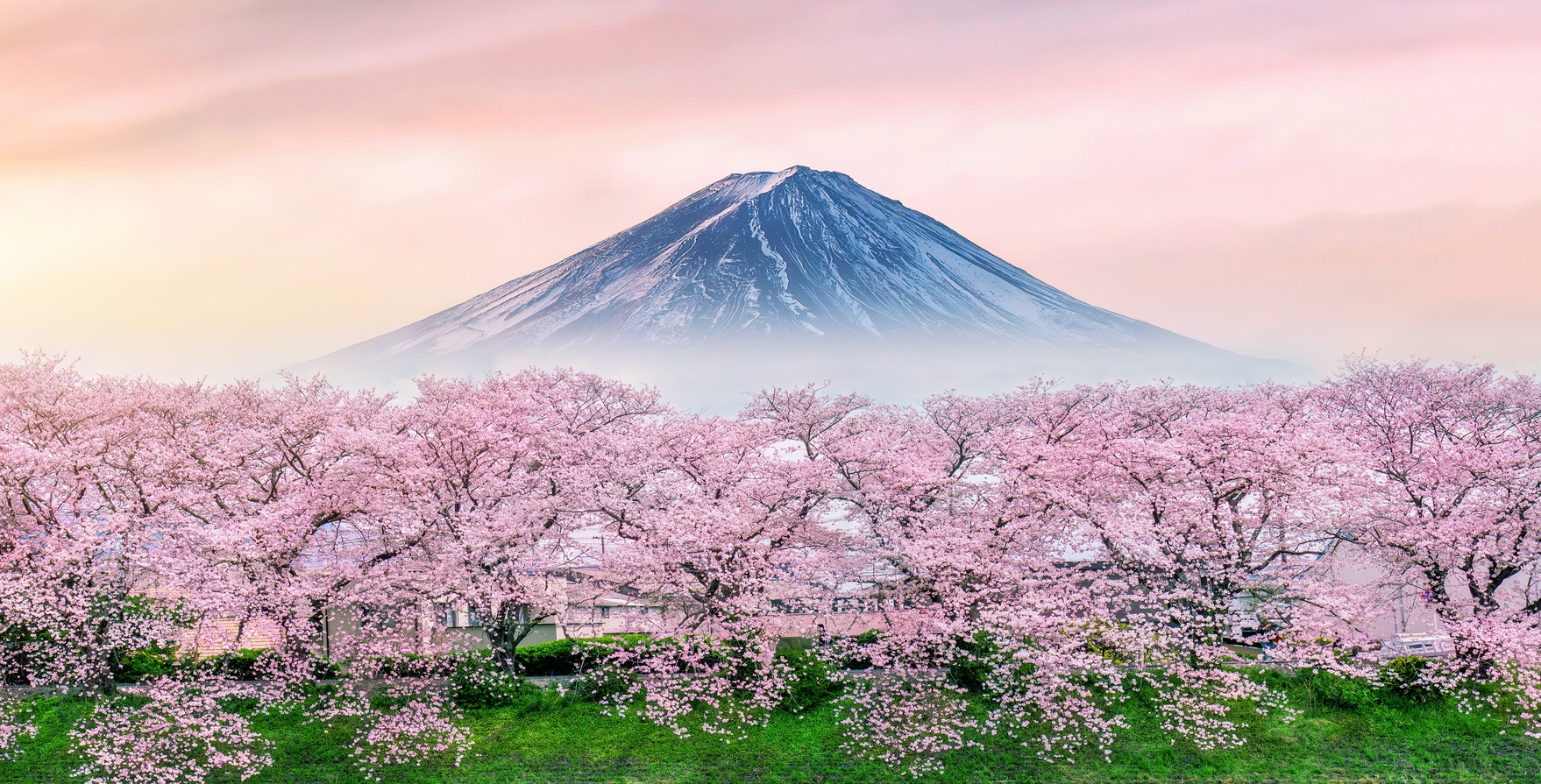 ARRIVAL IN TOKYO