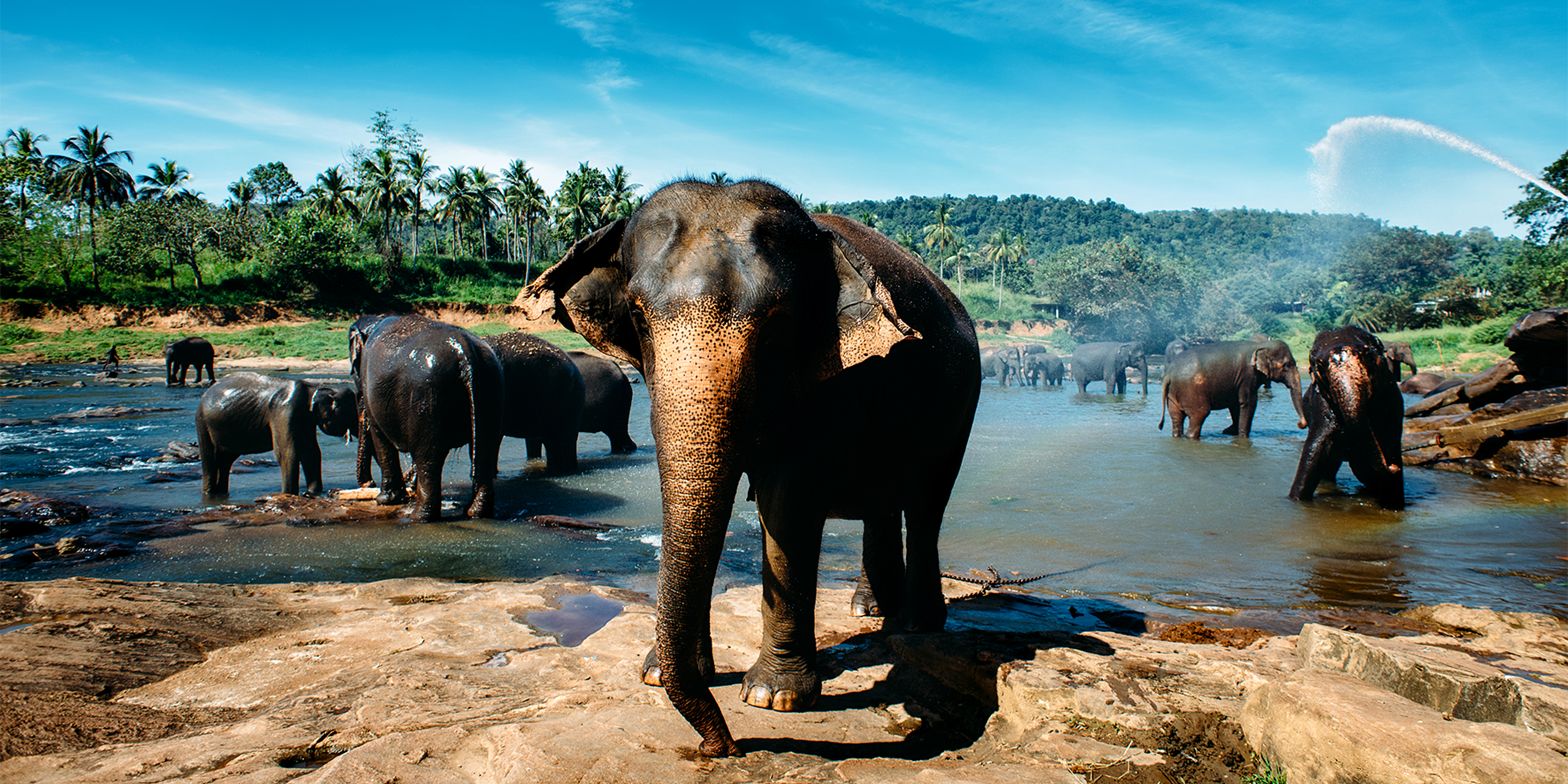 ARRIVAL IN SRI LANKA – KANDY