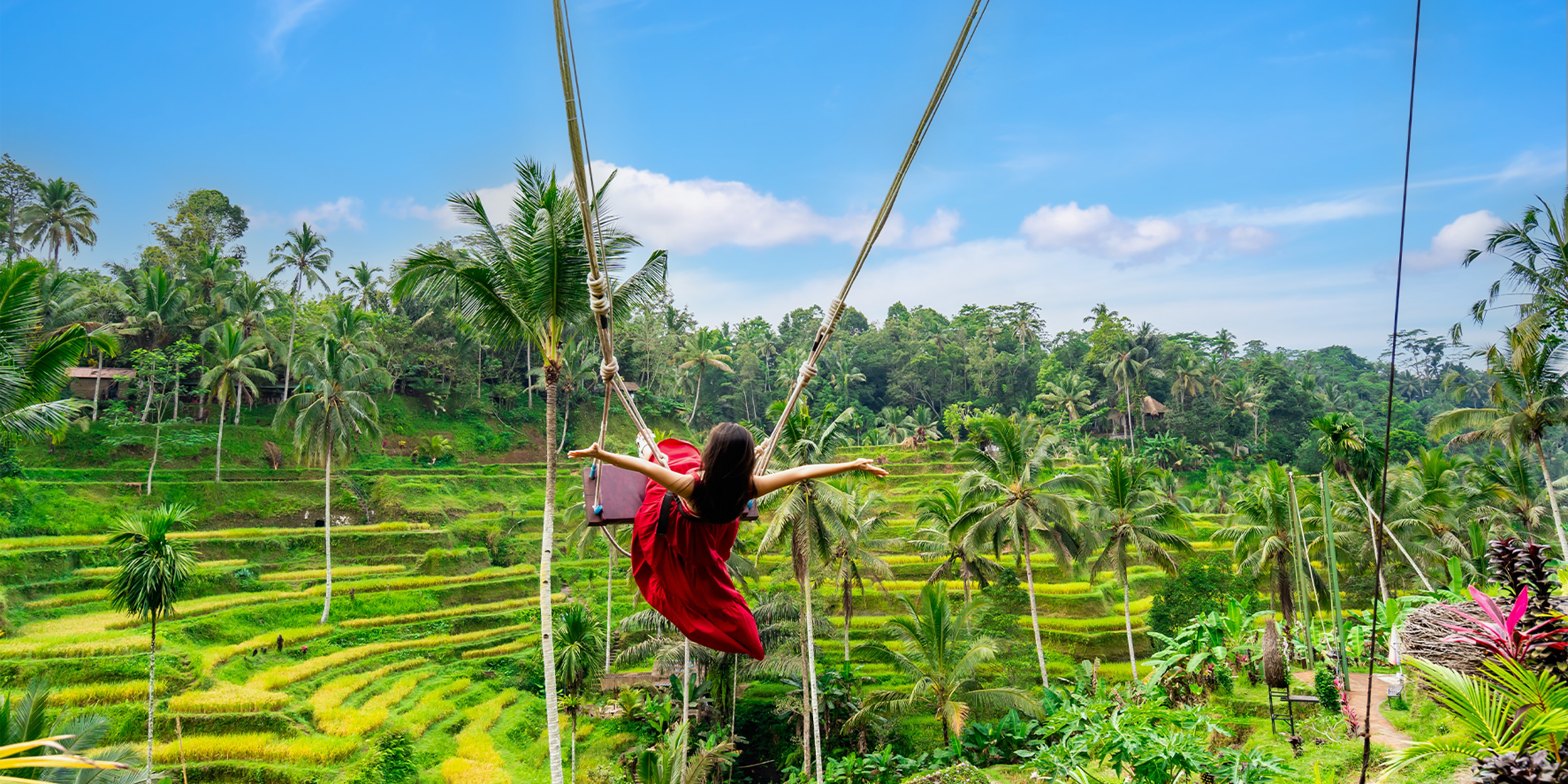 HALF DAY SWING ON PRIVATE BASIS - INCLUDES : SWING BY BALI DESA SWING